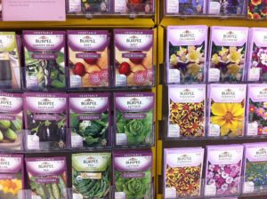 heirloom seeds for survivalist